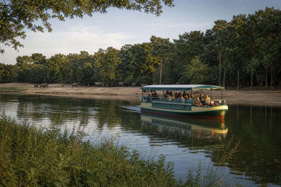 Safari en bateau sur le lac
